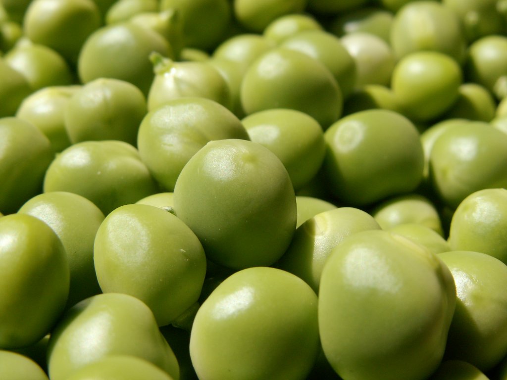Bisi
