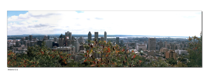 Montreal: vista panoramica