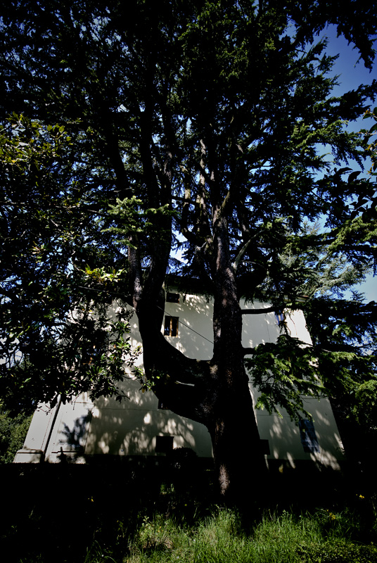 parte della villa