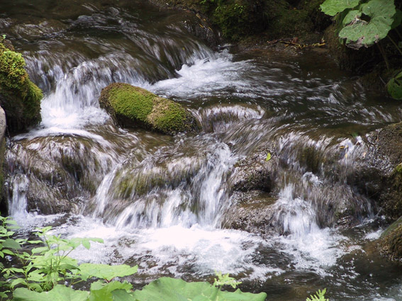 acqua nell'acqua