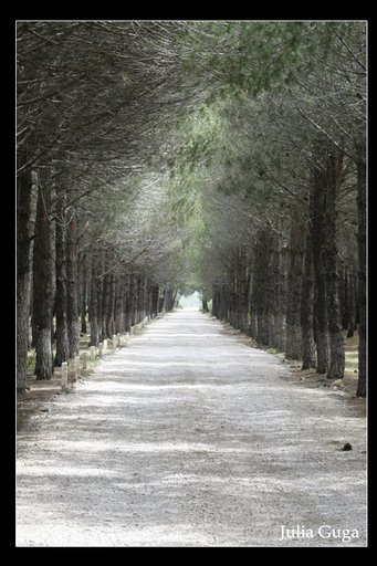 endless road