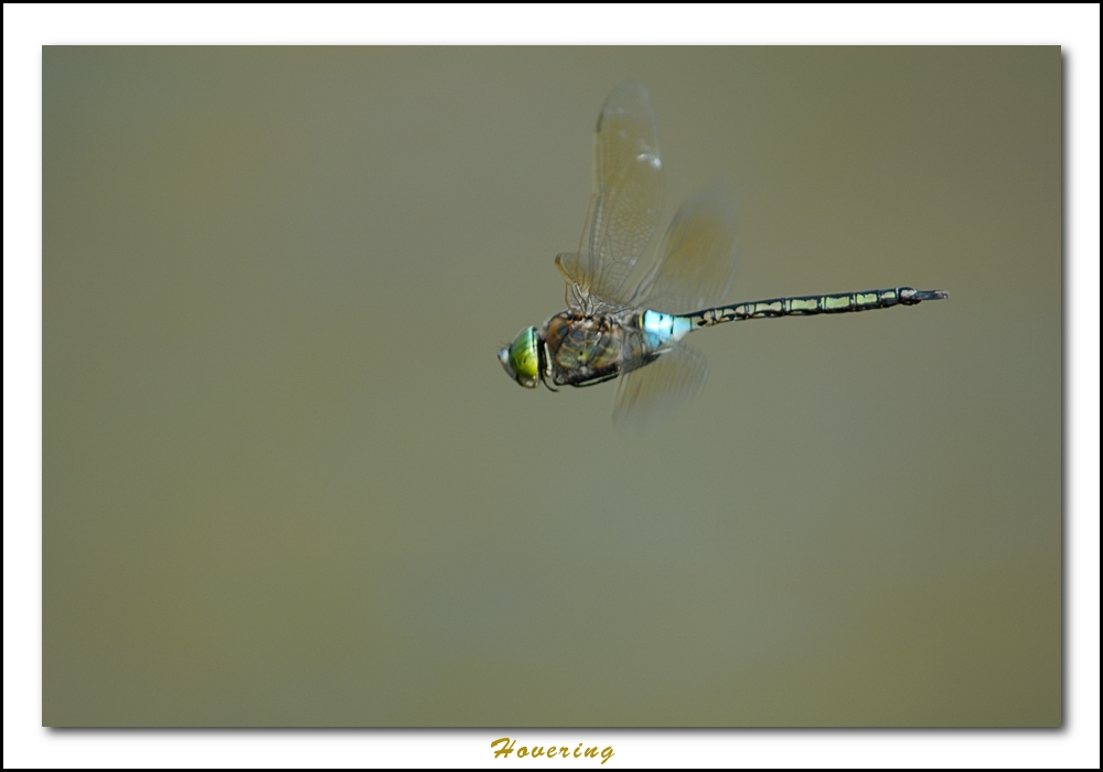 Hovering