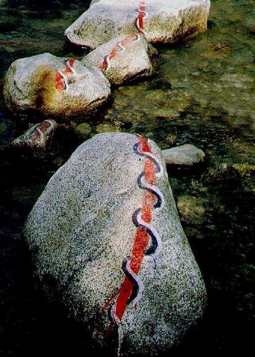 Pop-art nell'acqua.