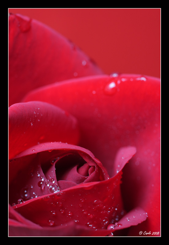 Rapsodia in rosso