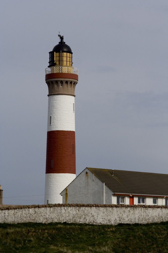 Faro