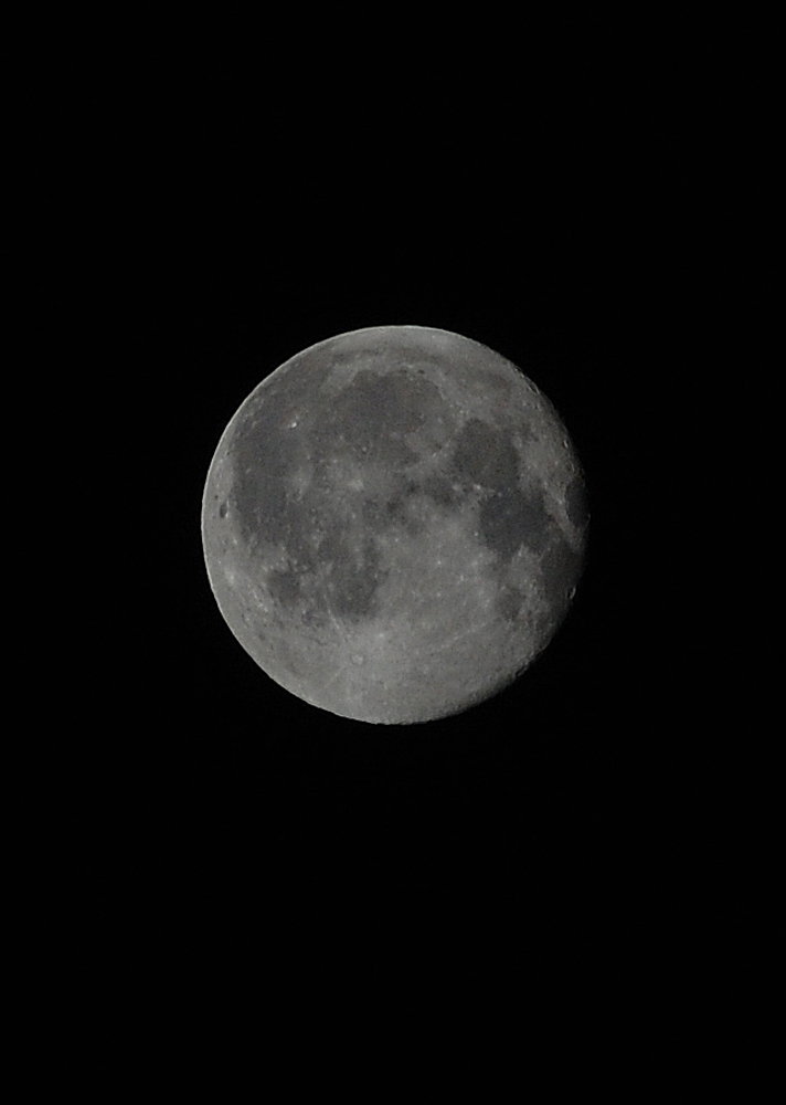 Luna1