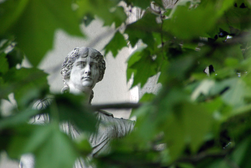 Roma - Villa Borghese #1