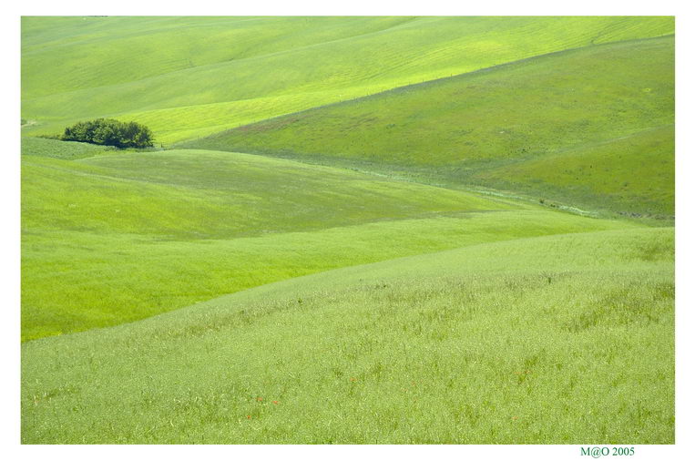 Il verde della Toscana
