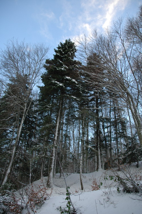 Neve d'Abruzzo