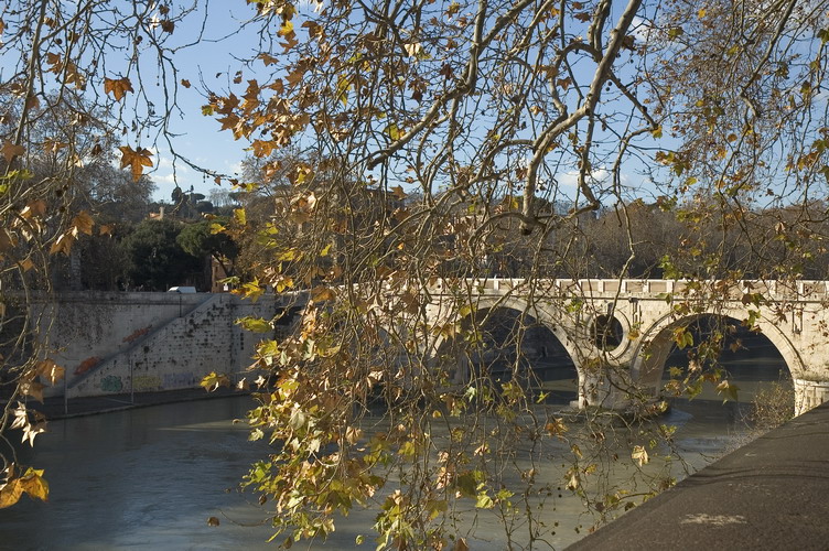Ponte di Roma