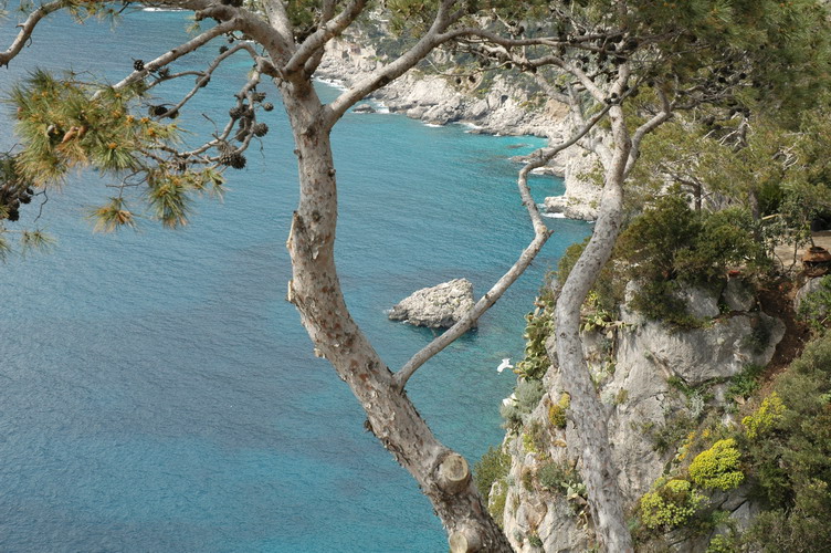 Capri