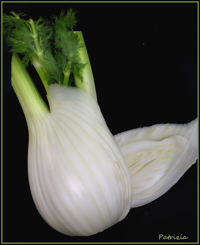 finocchio