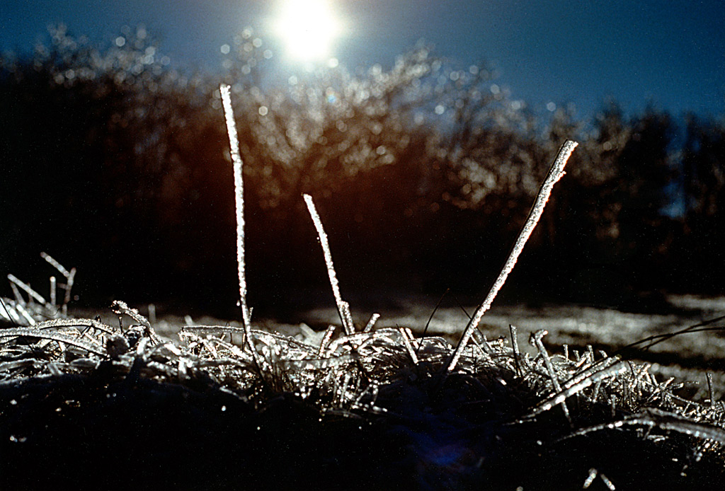 Inverno