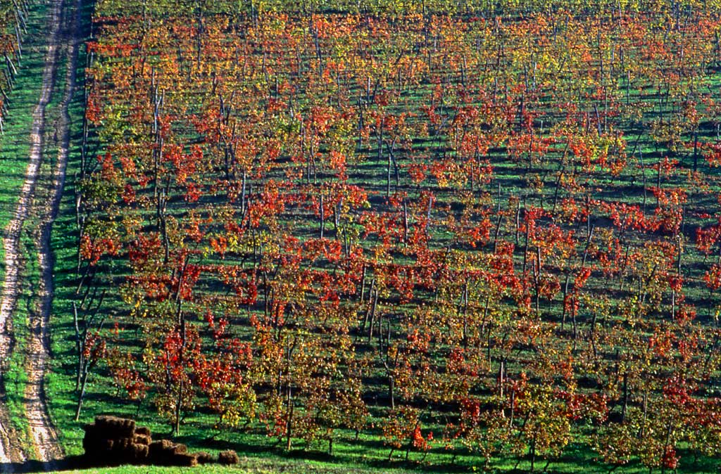 Autunno
