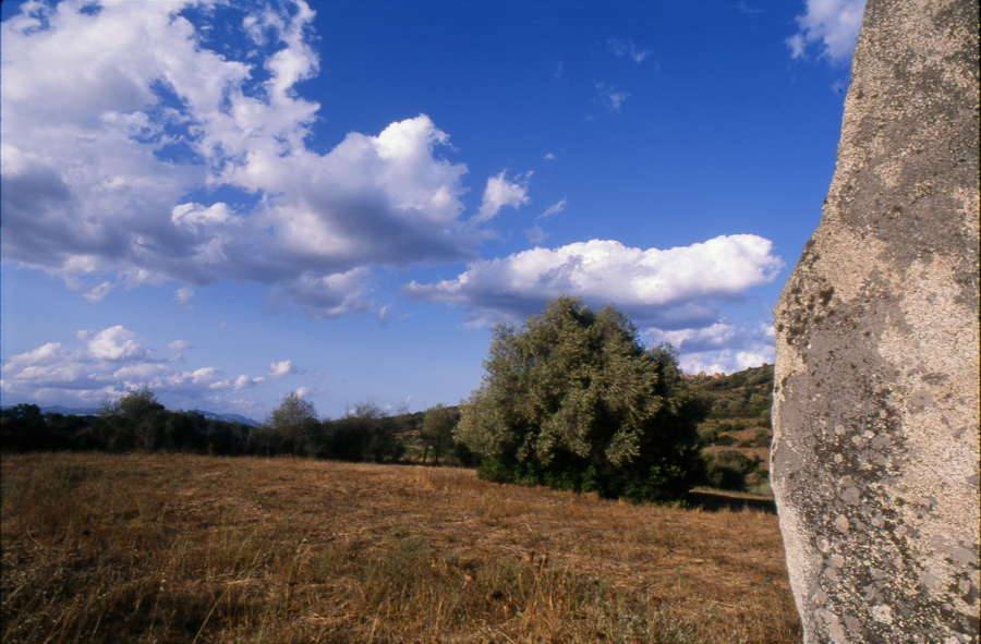 menhir presso Sa Perdalonga
