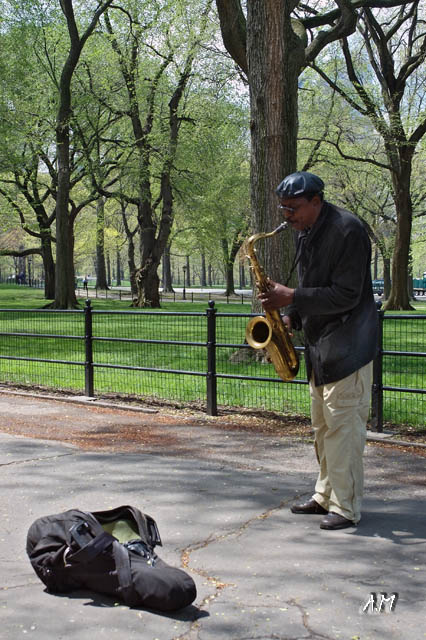 New York - Artista a Central Park