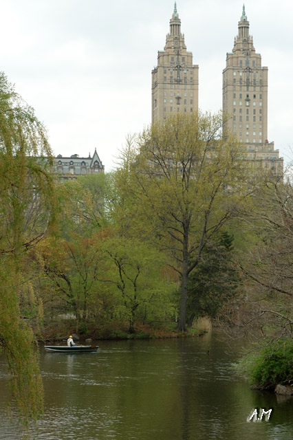 New York - Central Park