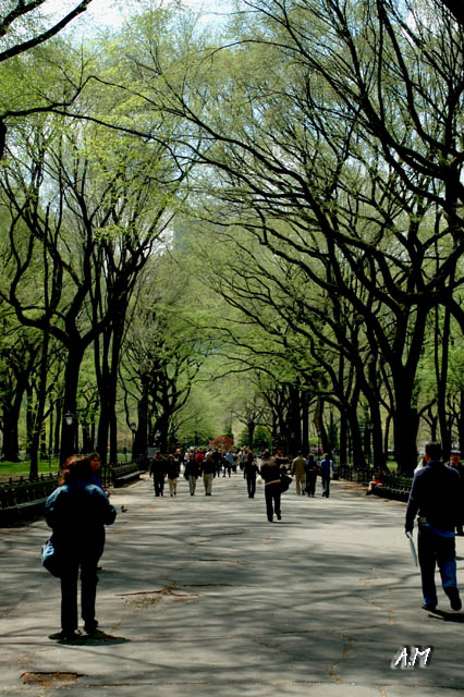 New York - Passeggiata a Central Park