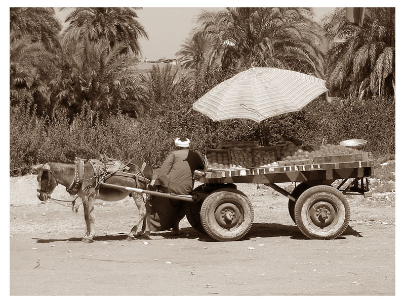 Venditore ambulante di frutta