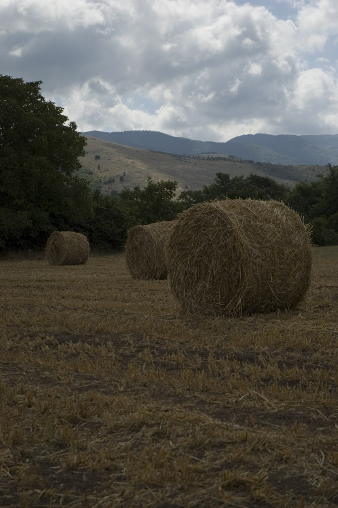 balle di fieno originale