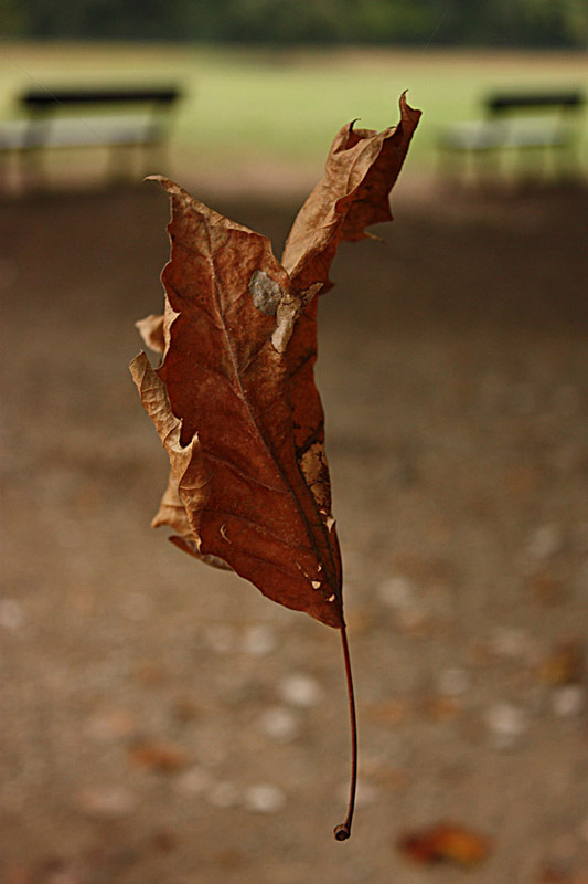 autunno