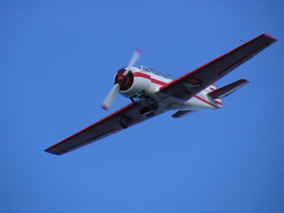 PERIPEZIA IN VOLO
