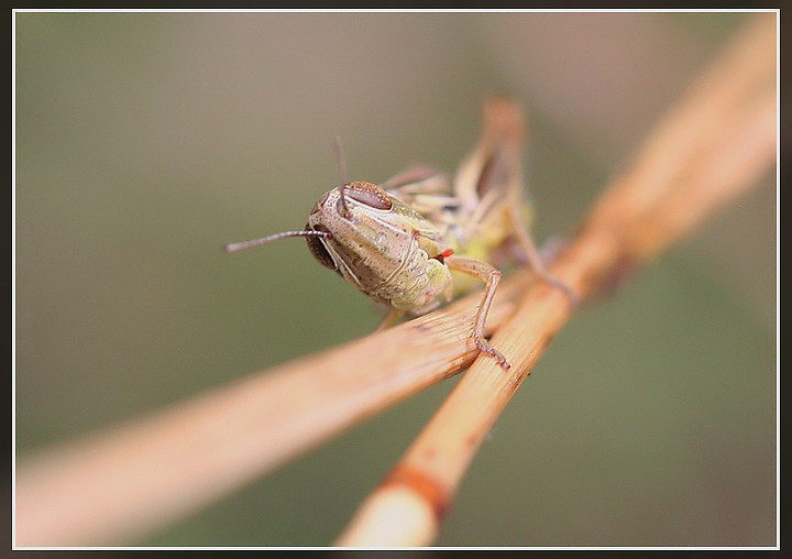 Il bivio 2