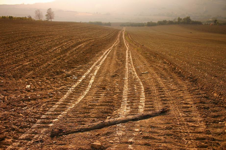 Traccie su Marche