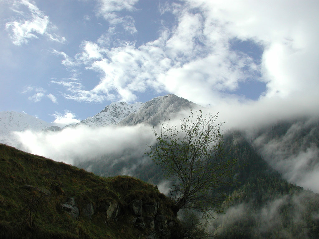 Alta Valtellina