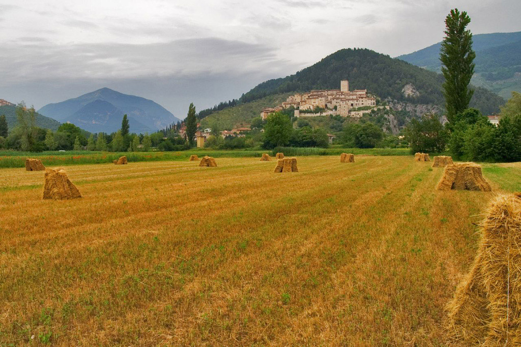 Arrone