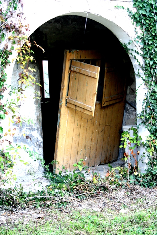 Old Abandoned House