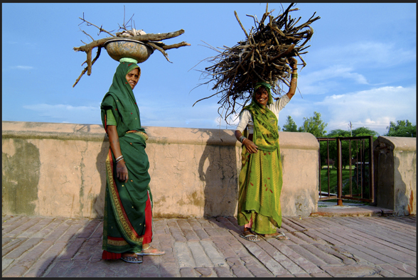 India 11