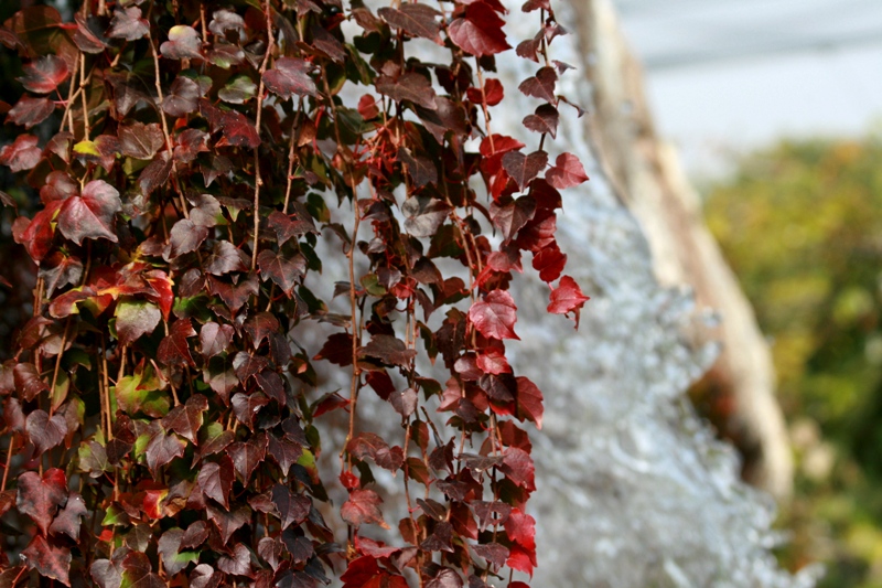 Autunno