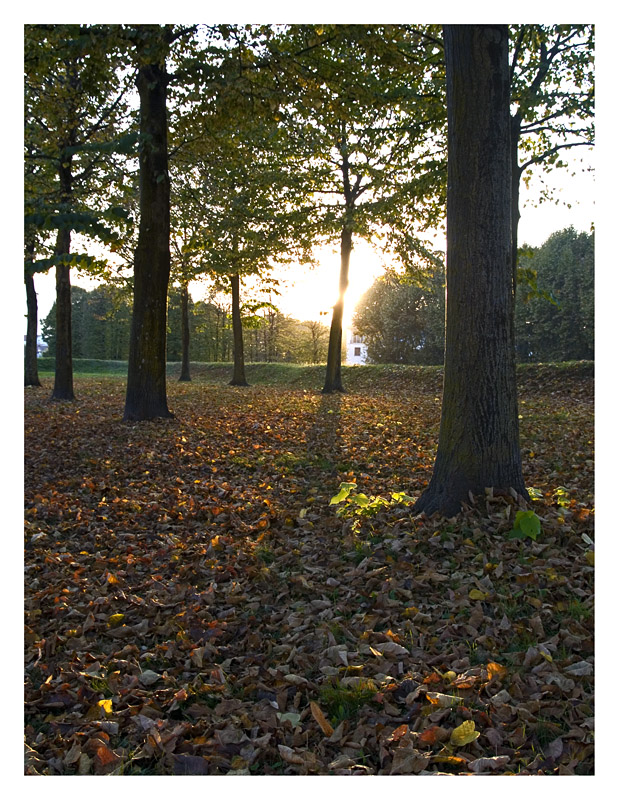 Autunno