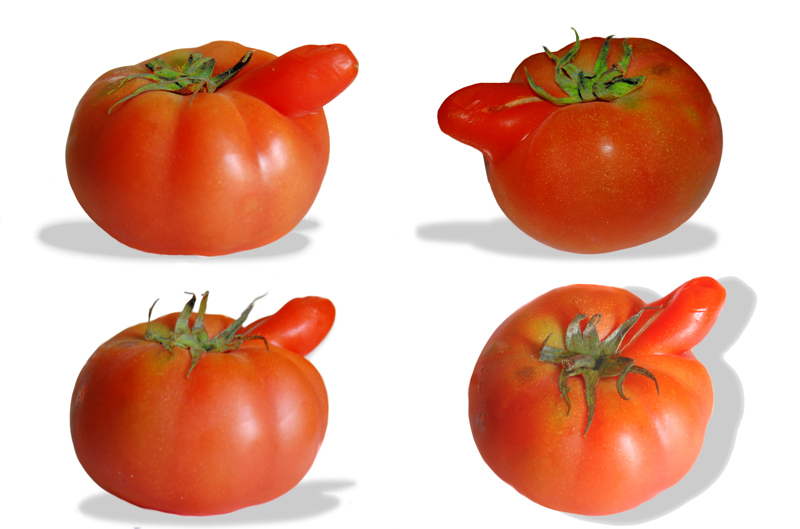 pomodoro sexi