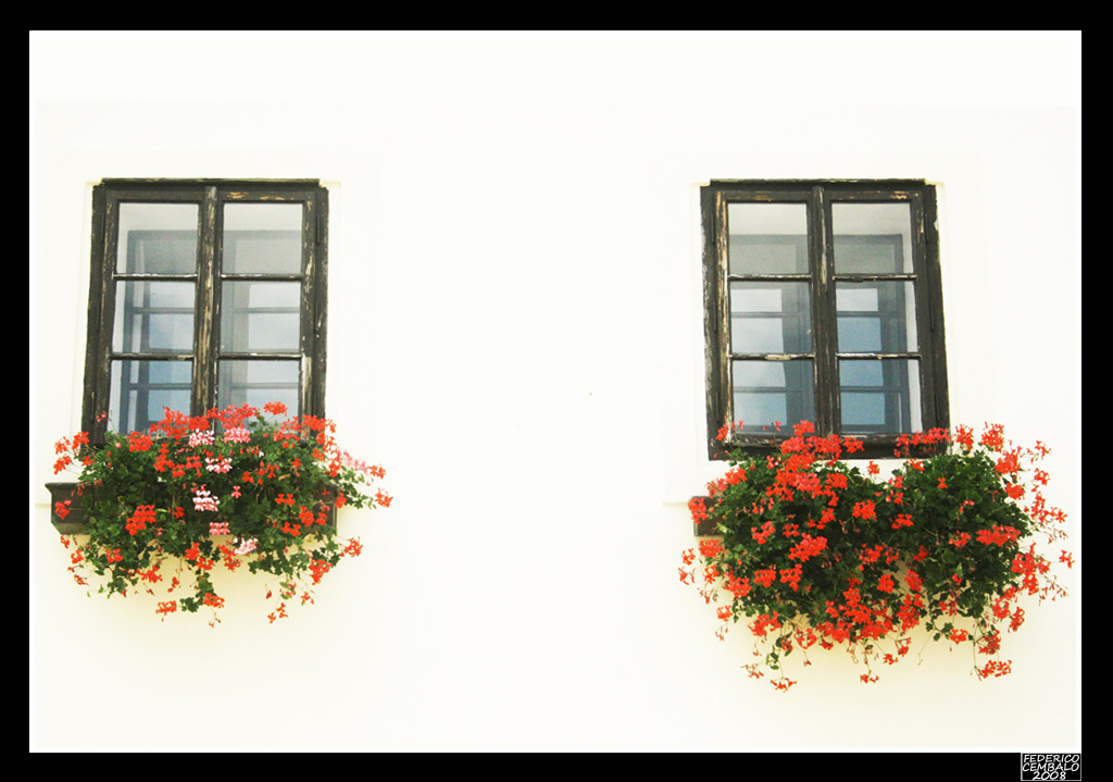 Finestre