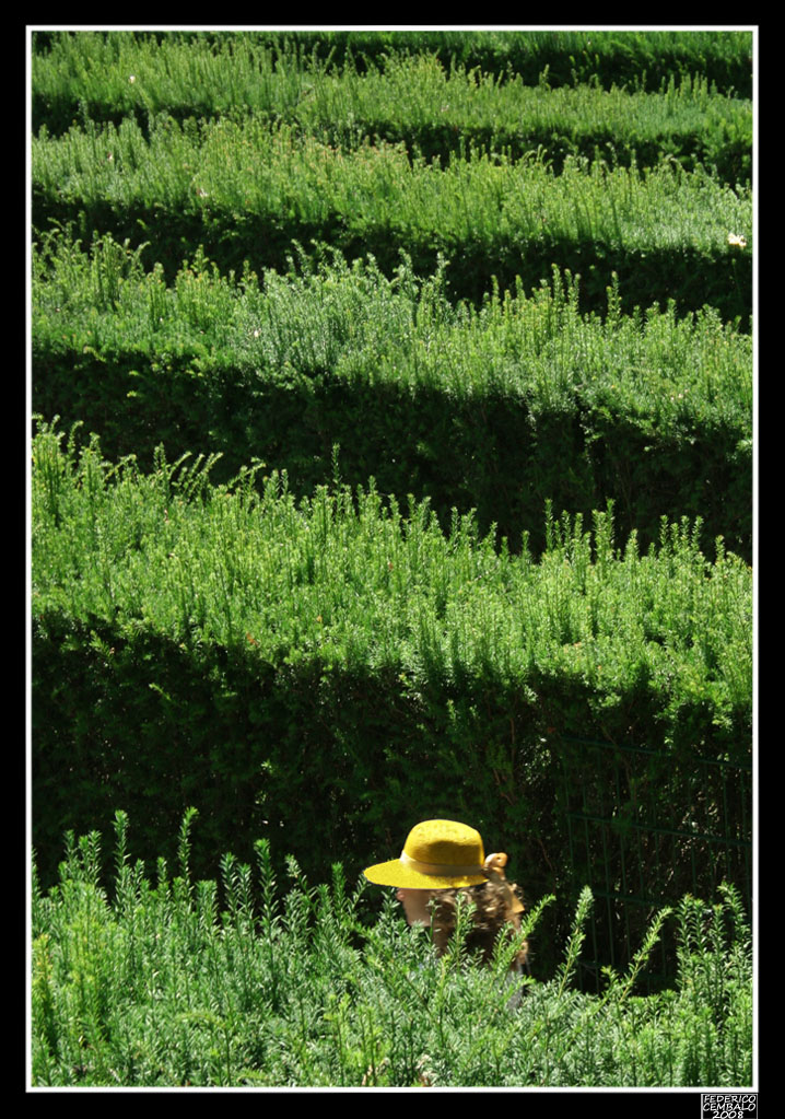Labirinto (1)
