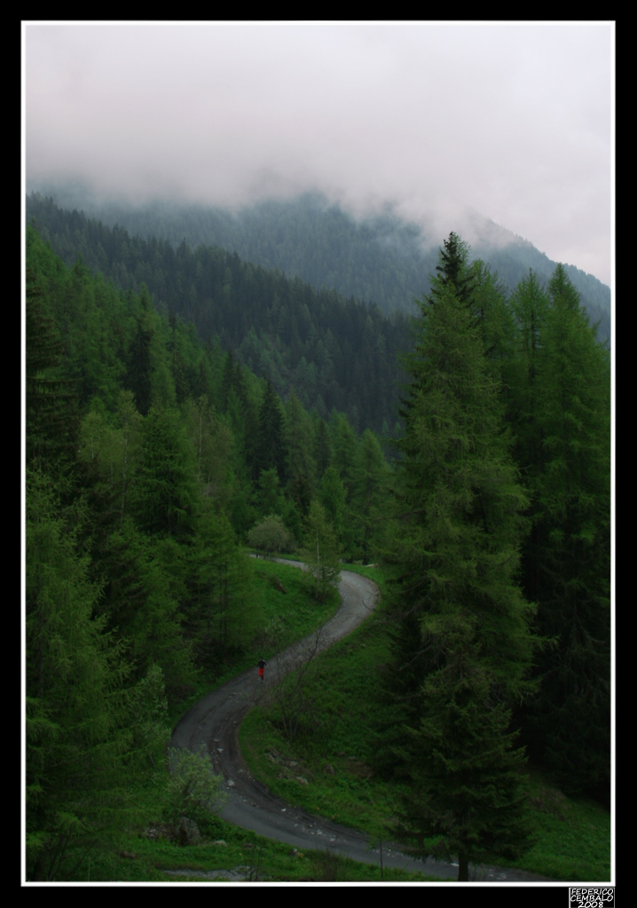 Skyrunning