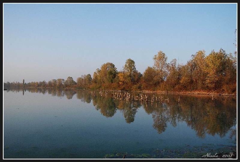 riflessi