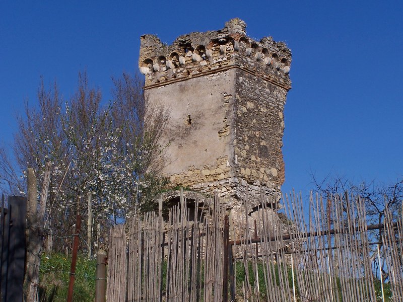Torre