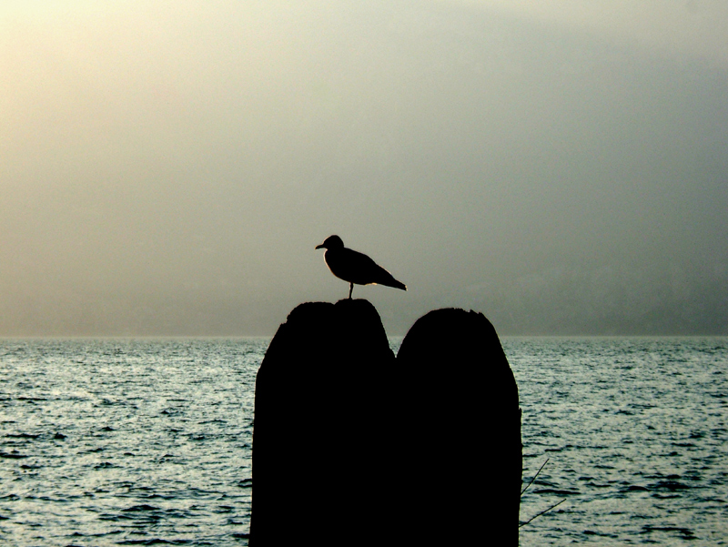 Passeggiata verso Campo - Lago di Garda