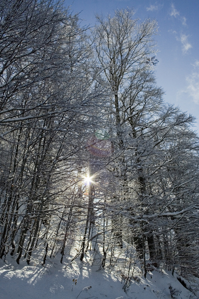 Riflesso di neve