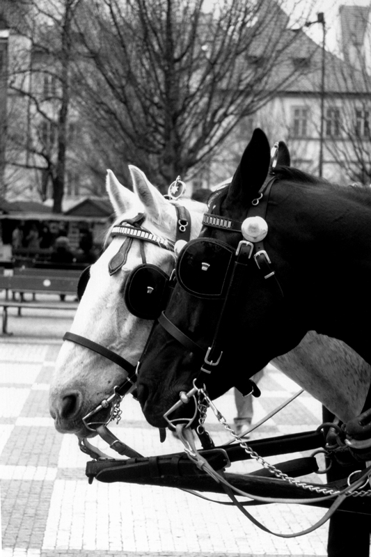 Black and white