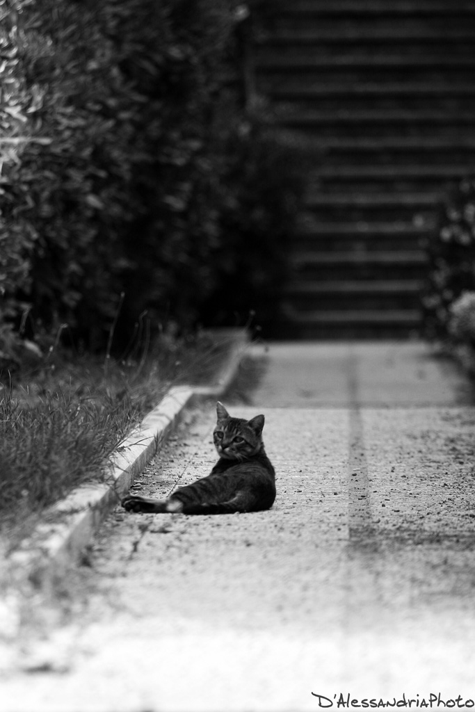 sulla strada