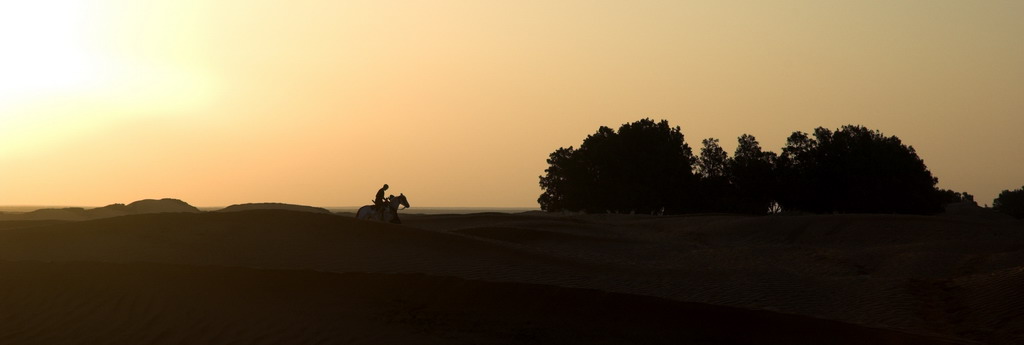 Cavaliere solitario