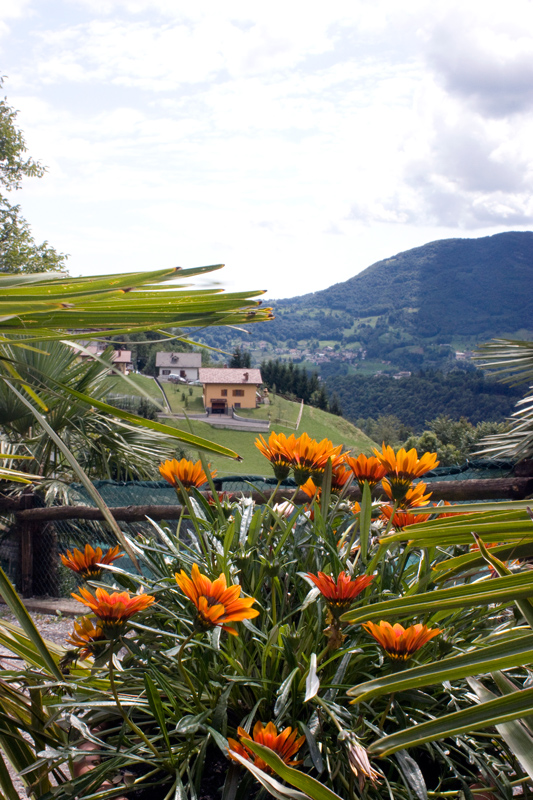 Paesaggio e Fiori