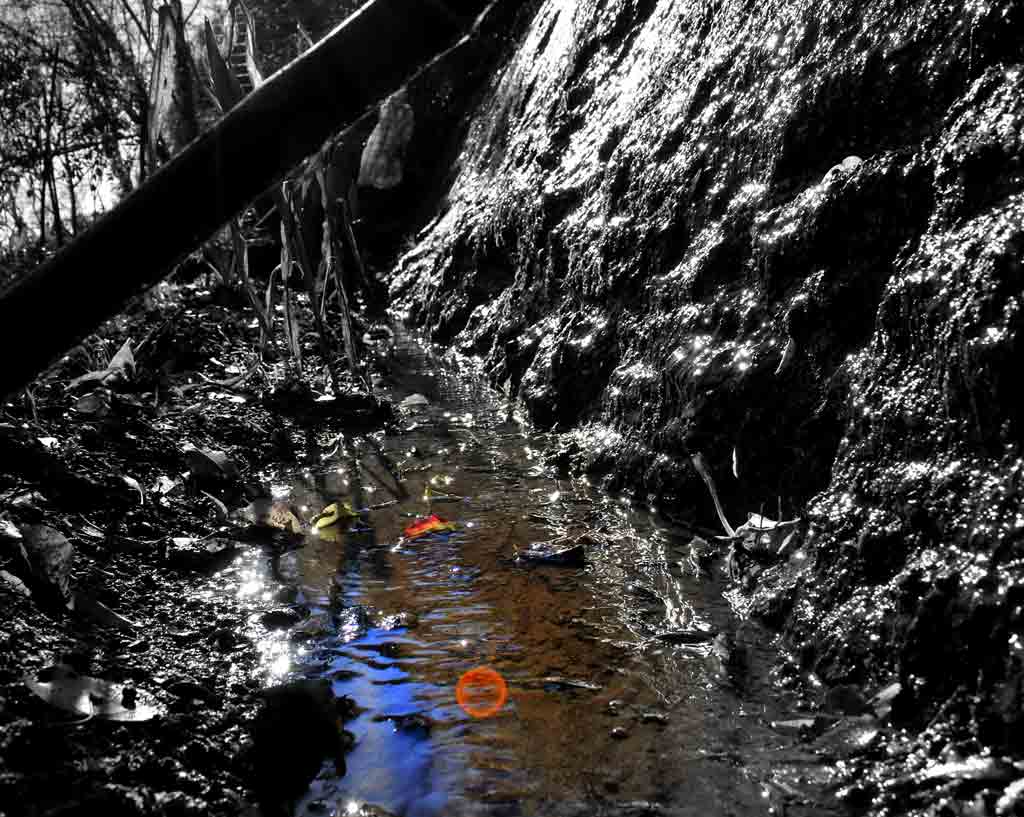 l'acqua del pozzo pu affogare o dissetare