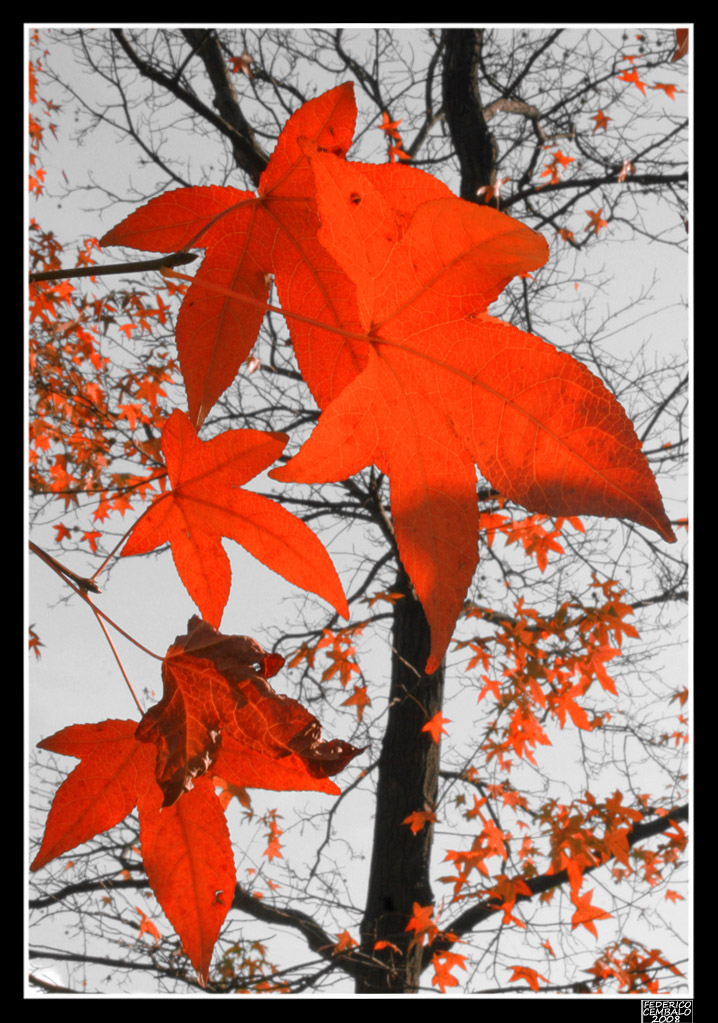 Autunno
