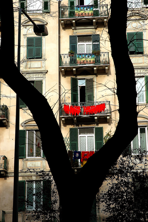 24 Savona