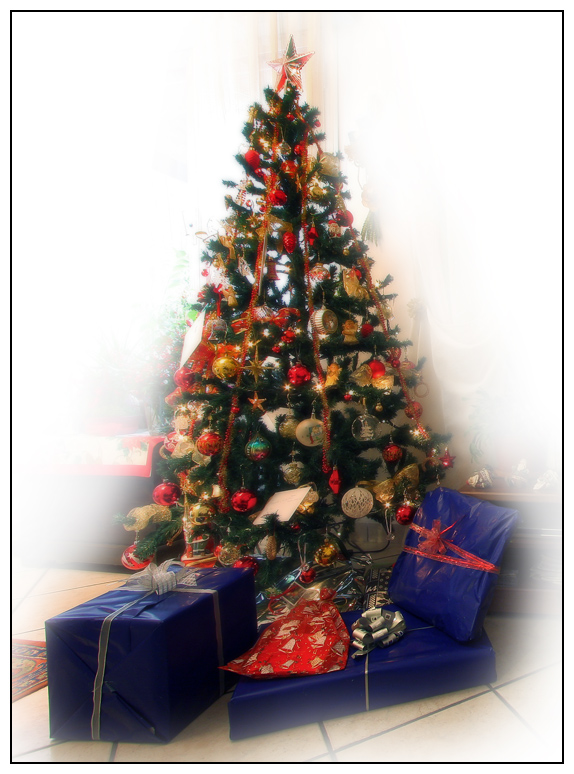 Il nostro albero di Natale 2008
